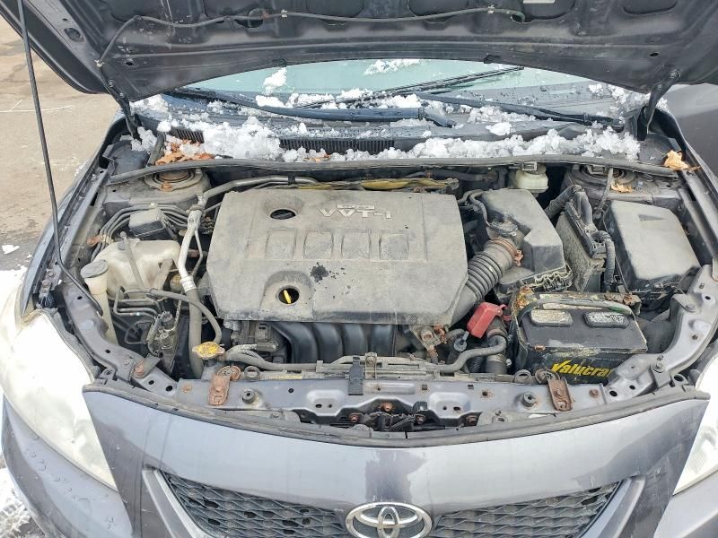 2010 Toyota Corolla Base