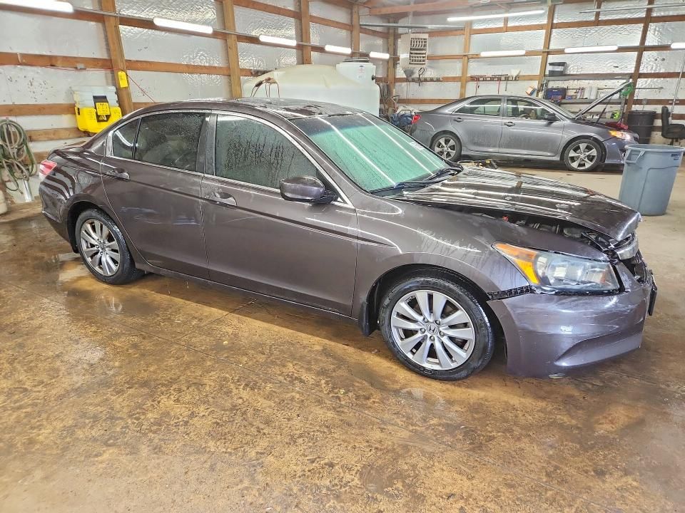 2011 Honda Accord exl