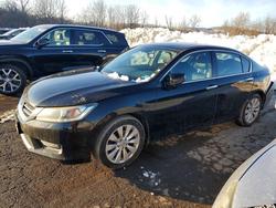 2015 Honda Accord exl en venta en Marlboro, NY