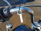 2024 Harley-Davidson Fxst