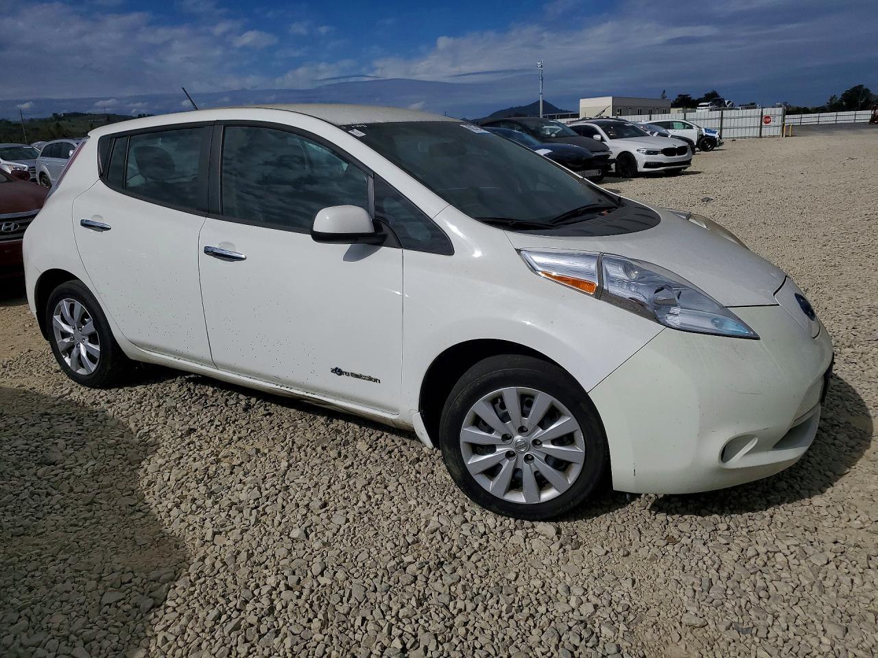2016 Niss Leaf S-24
