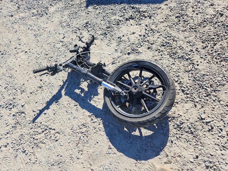 2015 Ducati Scrambler 800