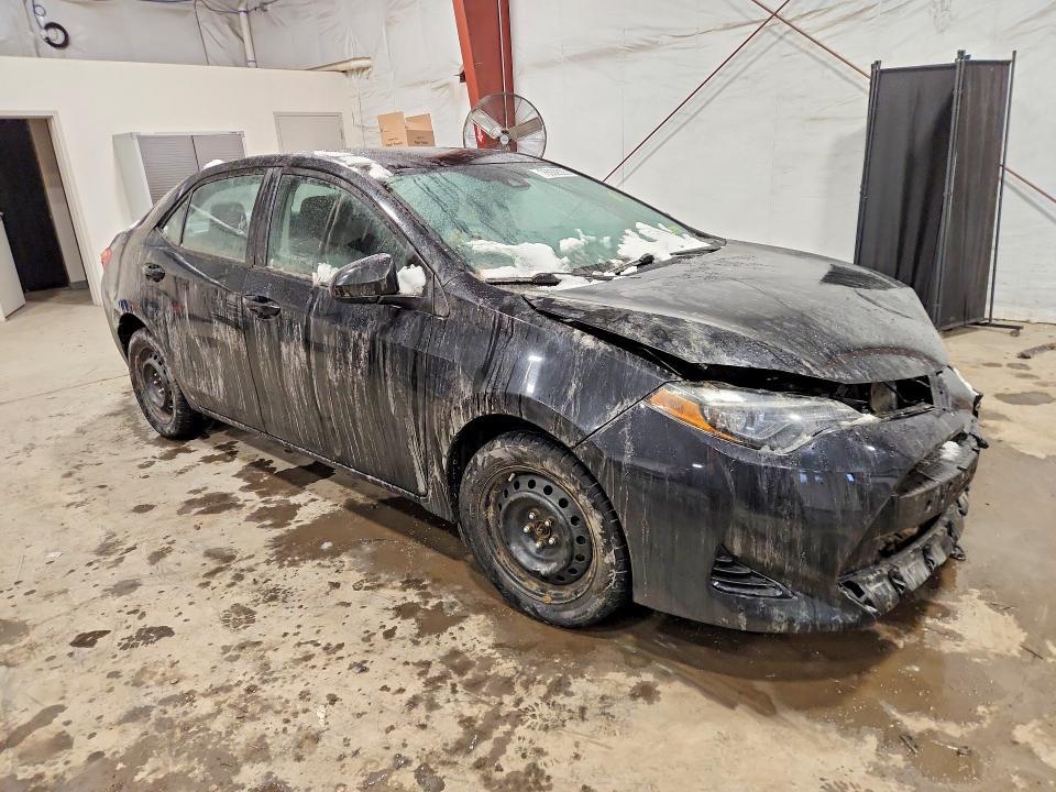 2019 Toyota Corolla l