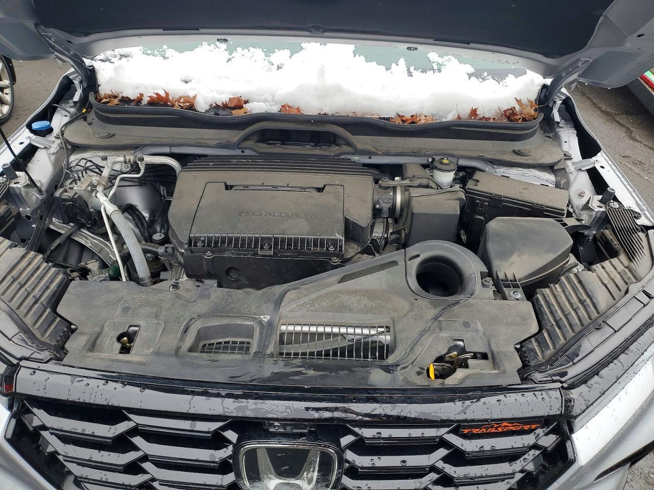 2025 Honda Pilot Trailsport