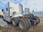 2013 Peterbilt 386