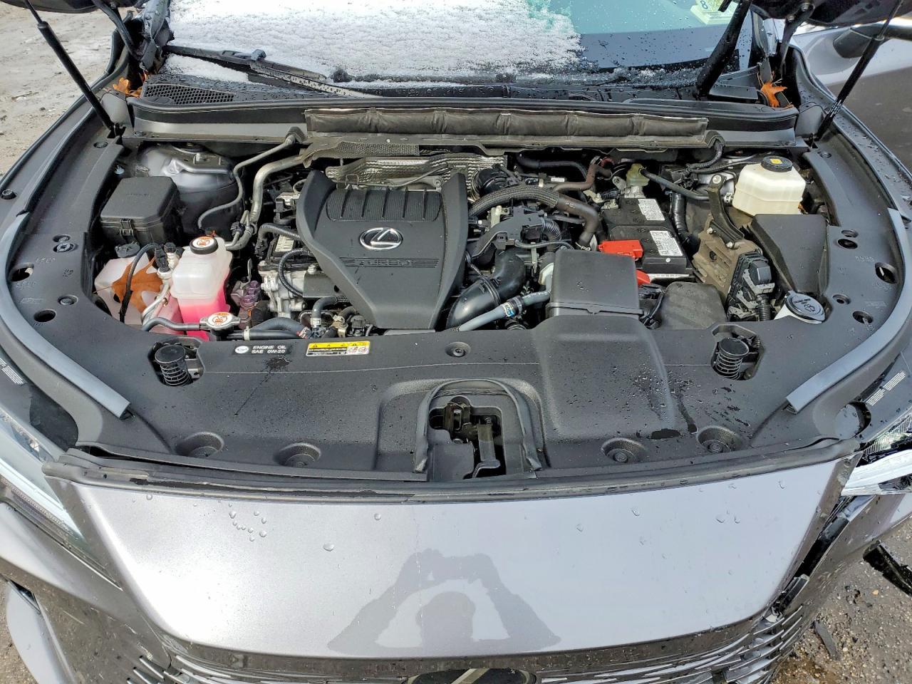 2023 Lexus RX