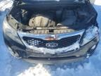2013 KIA Sorento ex