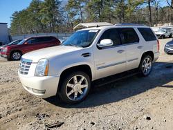 Cadillac salvage cars for sale: 2010 Cadillac Escalade