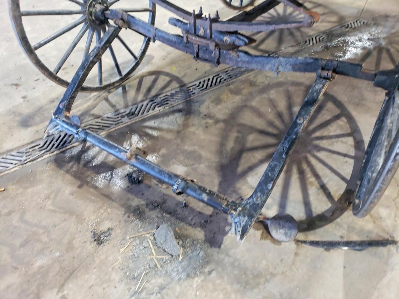 2025 Tccw Tccw Buggy