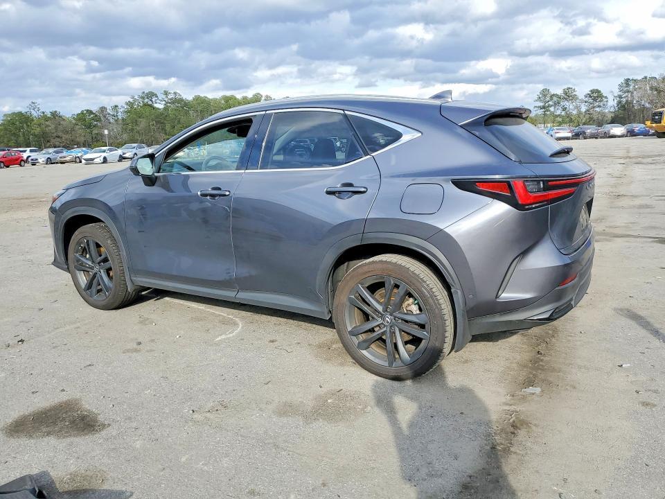 2024 Lexus Nx 450h Luxury