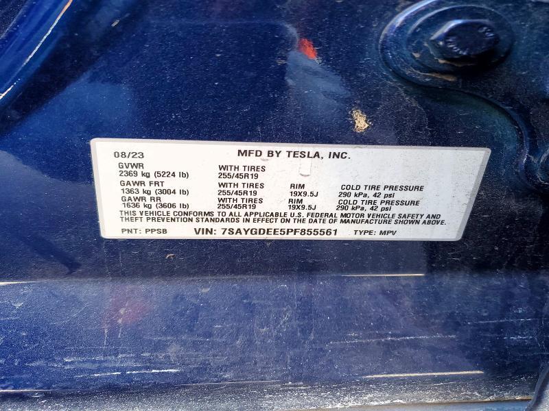 2023 Tesla Model y
