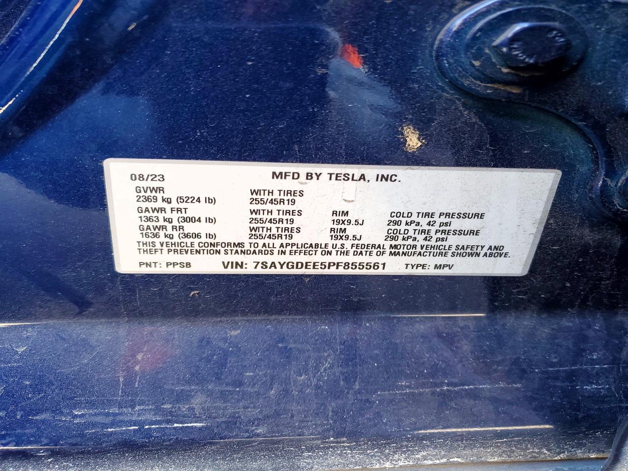 2023 Tesla Model y