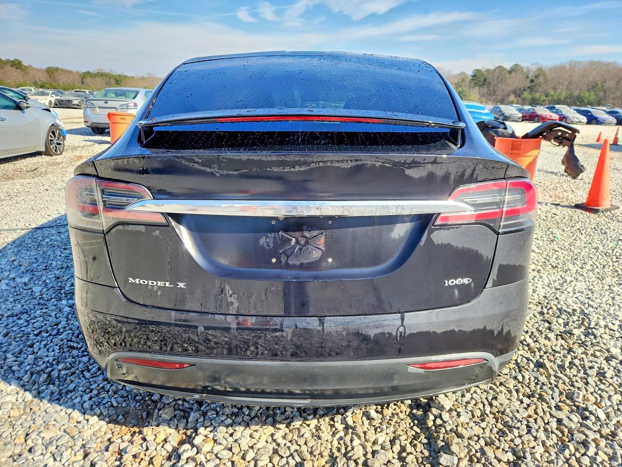 2017 Tesla Model x
