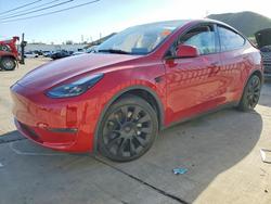 Tesla salvage cars for sale: 2023 Tesla Model y