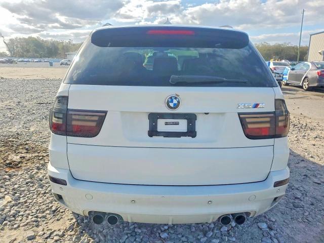 2010 BMW X5 m