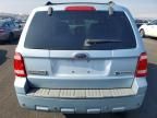 2008 Ford Escape hev