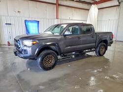 Salvage cars for sale from Copart Albany, NY: 2023 Toyota Tacoma Trail Special Edition