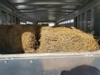 1998 Featherlite Mfg Inc 1998 Featherlite Horse Trailer