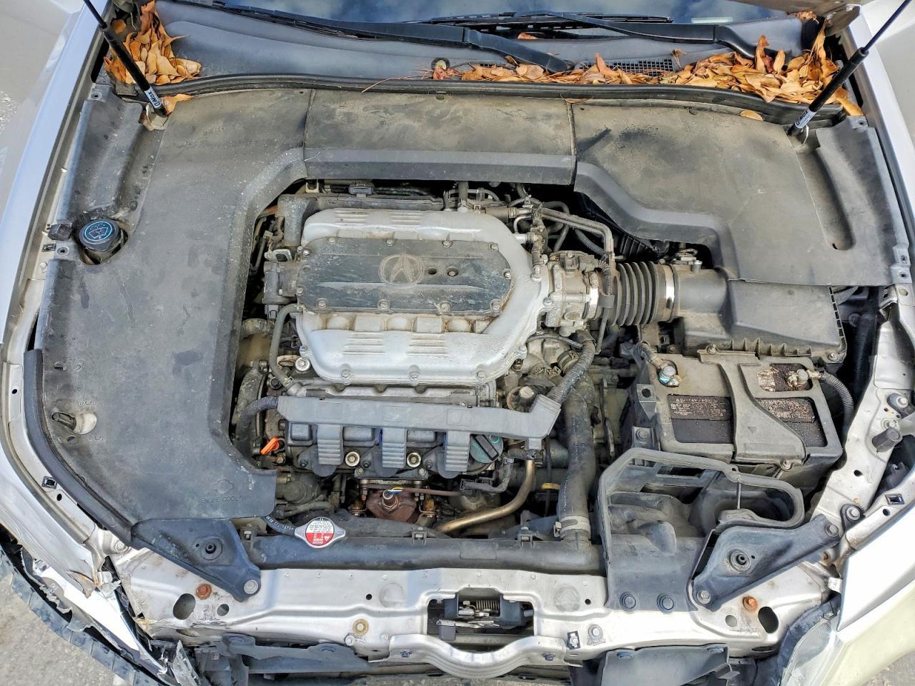 2009 Acura TL