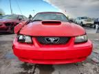 2004 Ford Mustang gt