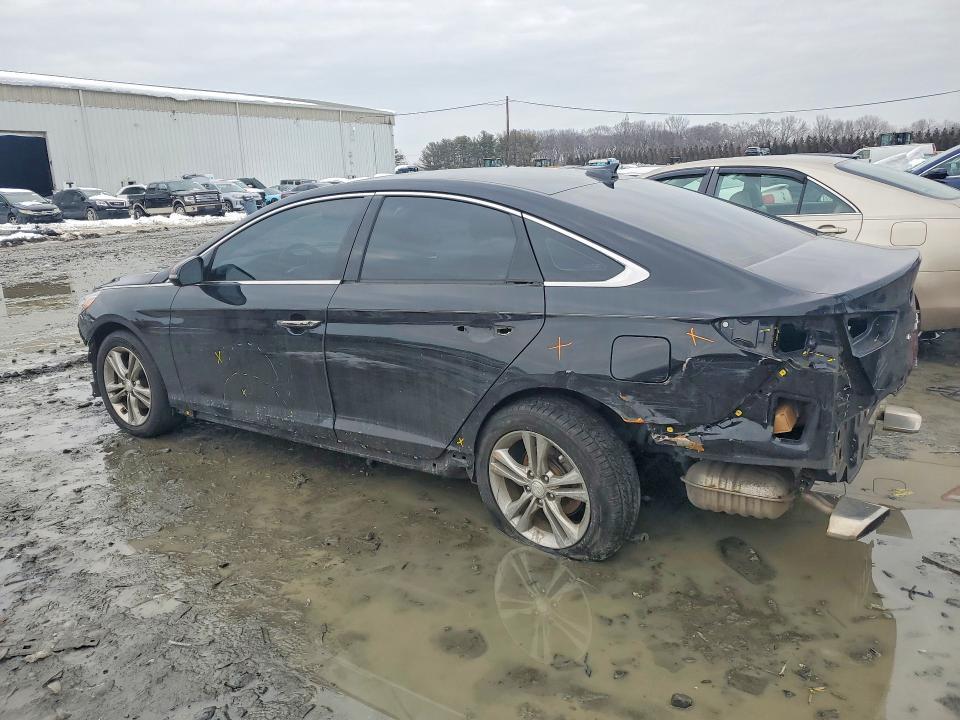 2019 Hyundai Sonata Sport