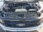 2024 Ford F150 xlt