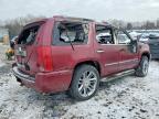 2007 Cadillac Escalade Luxury