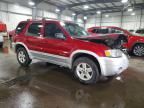 2005 Ford Escape hev