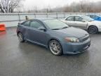 2010 Scion TC