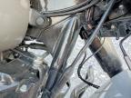 2025 Harley-Davidson Flhrxs