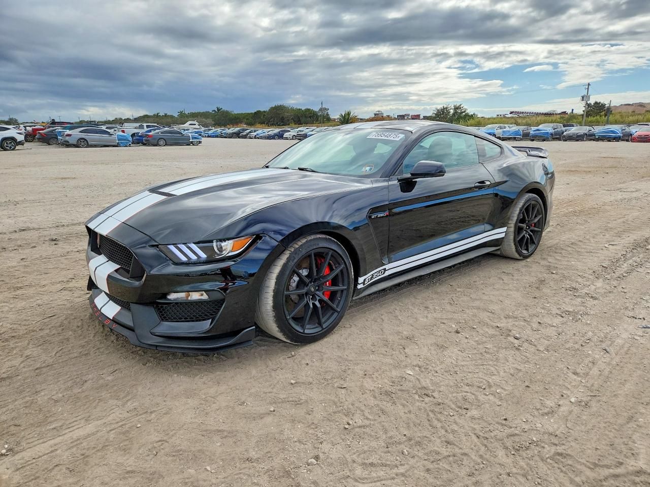 2016 Ford Mustang Shelby Gt350