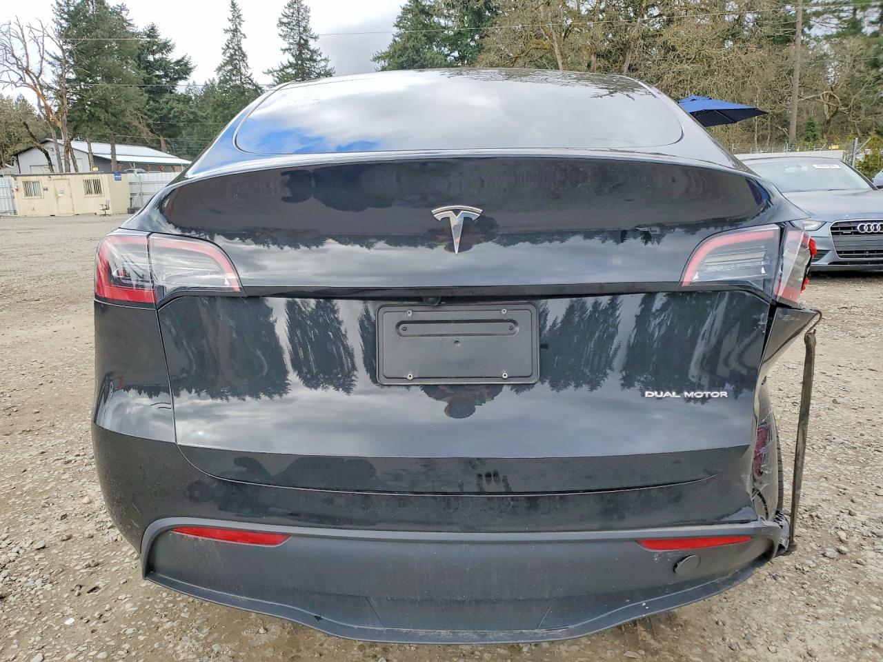 2025 Tesla Model y