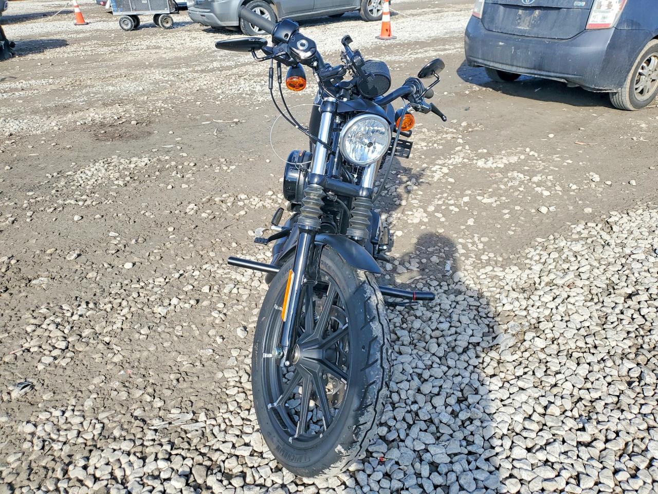 2022 Harley-Davidson XL883 N