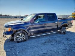 Ford salvage cars for sale: 2014 Ford F150 Supercrew