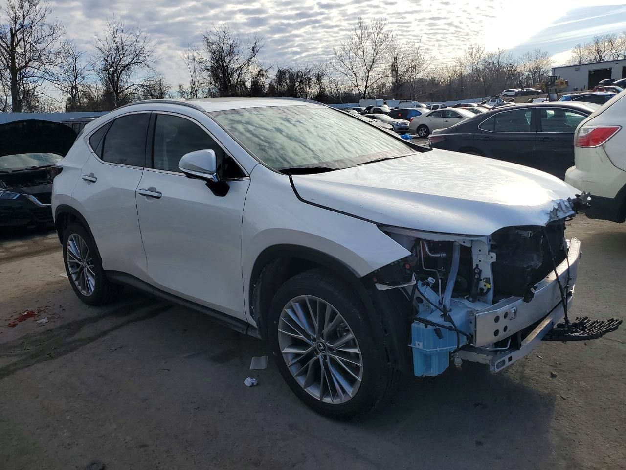 2025 Lexus Nx 350 Premium