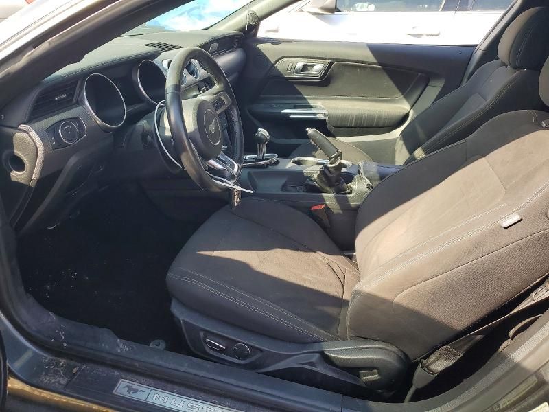 2019 Ford Mustang gt