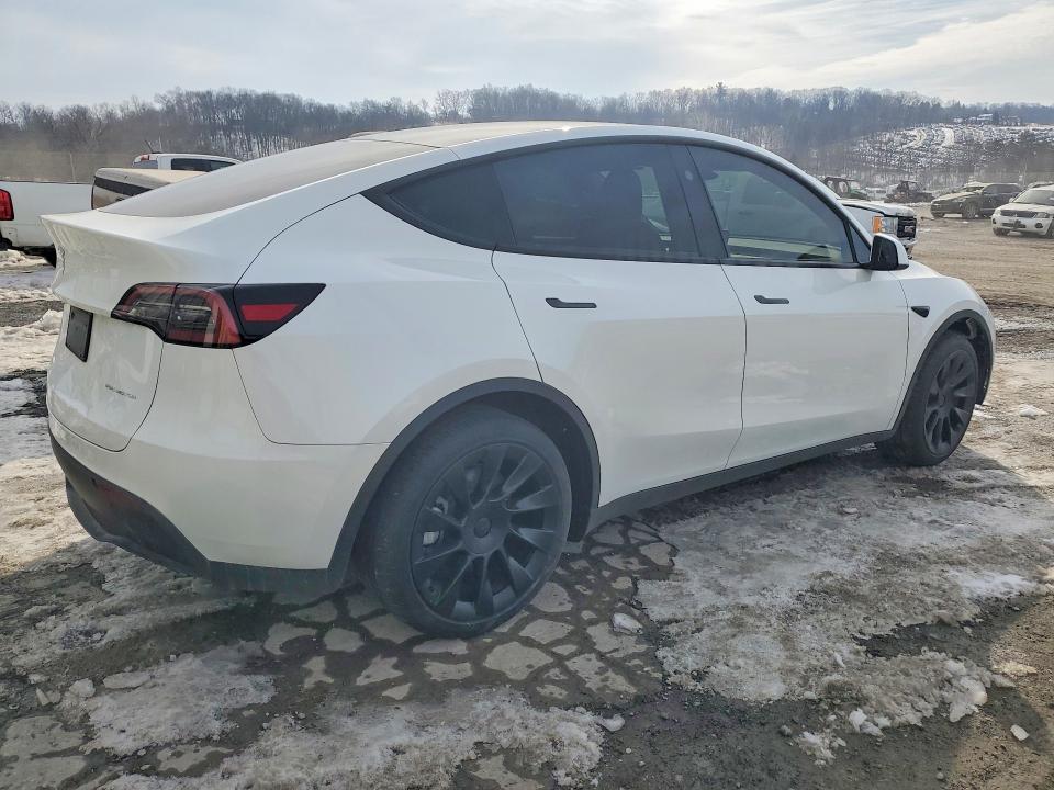 2025 Tesla Model y