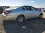 2004 Lexus Es 330