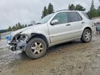 2003 Mercedes-Benz Ml 350