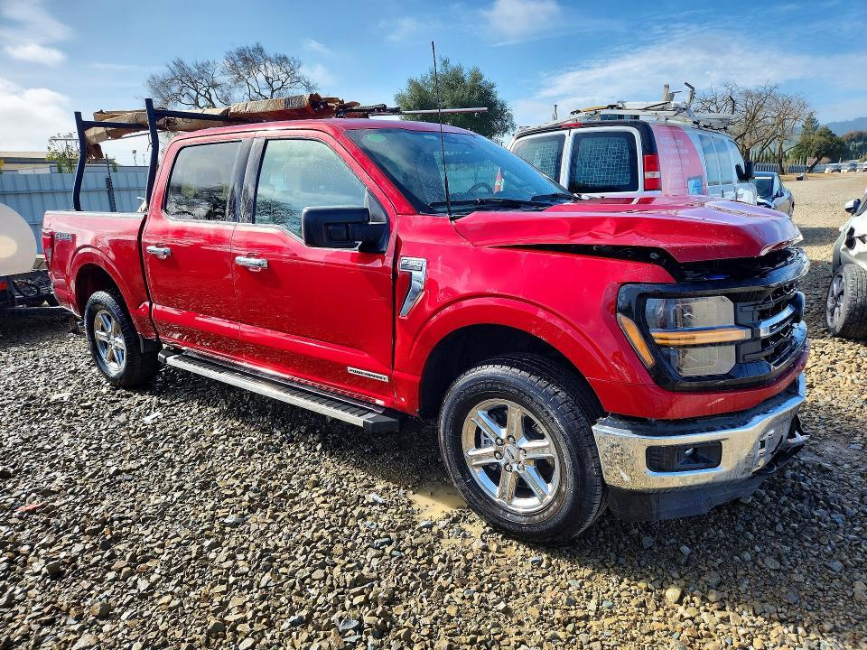 2025 Ford F150 XLT