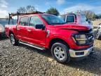 2025 Ford F150 XLT