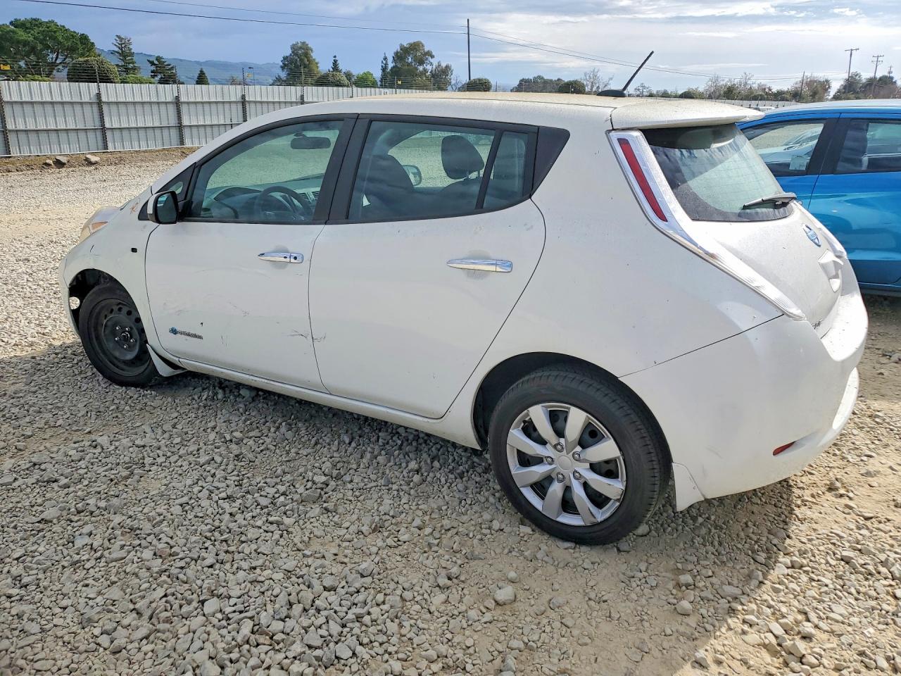 2016 Niss Leaf S-24