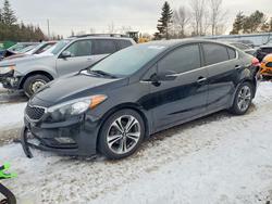 KIA salvage cars for sale: 2016 KIA Forte ex