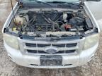 2011 Ford Escape xls