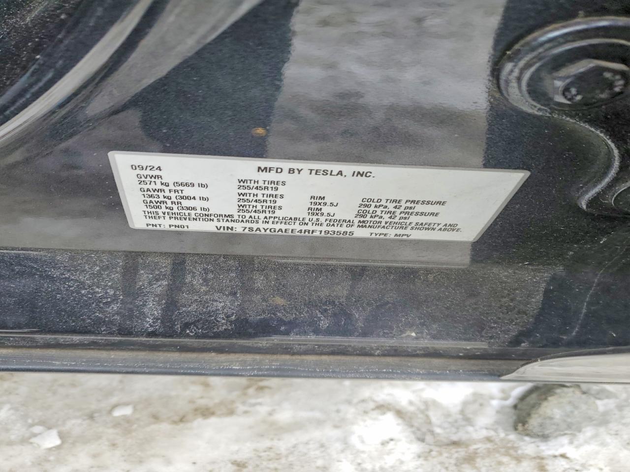 2024 Tesla Model y