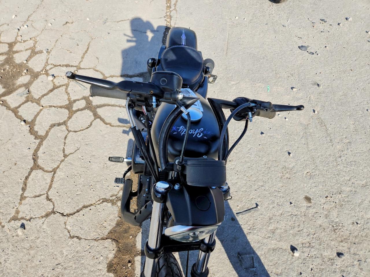 2019 Harley-Davidson XL883 N