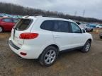 2009 Hyundai Santa fe se