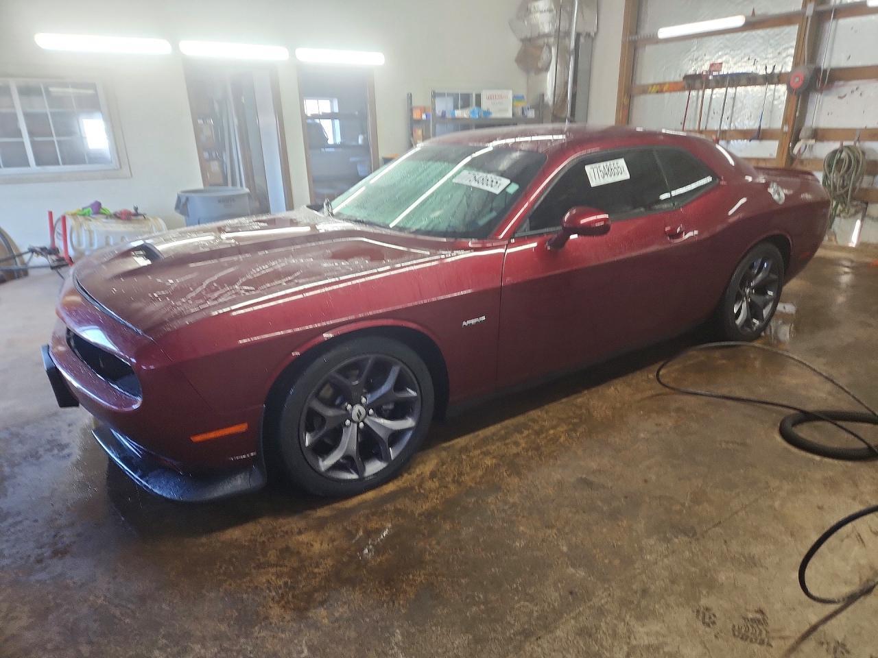 2019 Dodge Challenger r