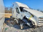 2021 Freightliner Cascadia 126
