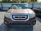 2011 Honda Pilot exl